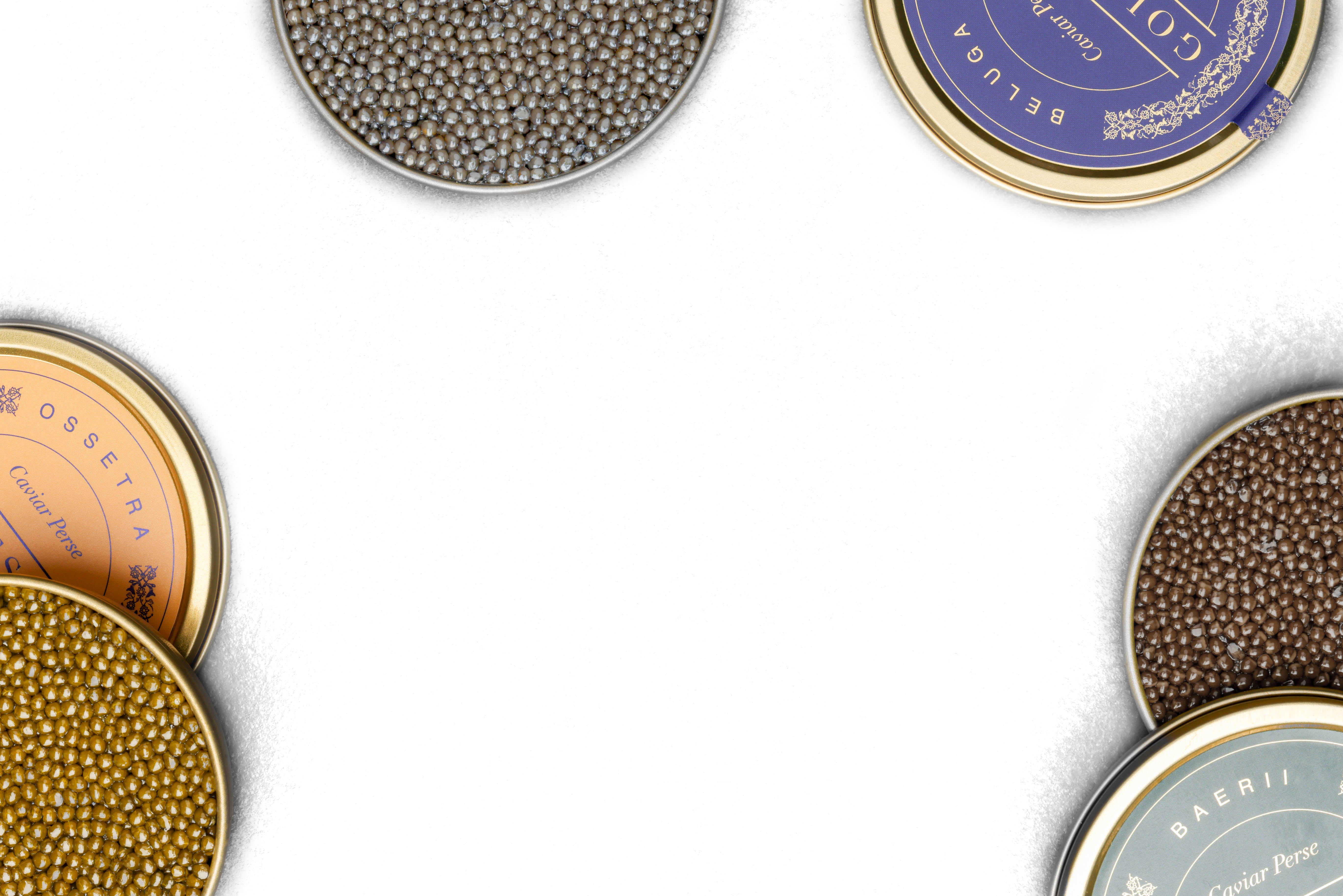 caviar beluga, ossetra et baerii réparti sur un fond blanc Golestan Caviar