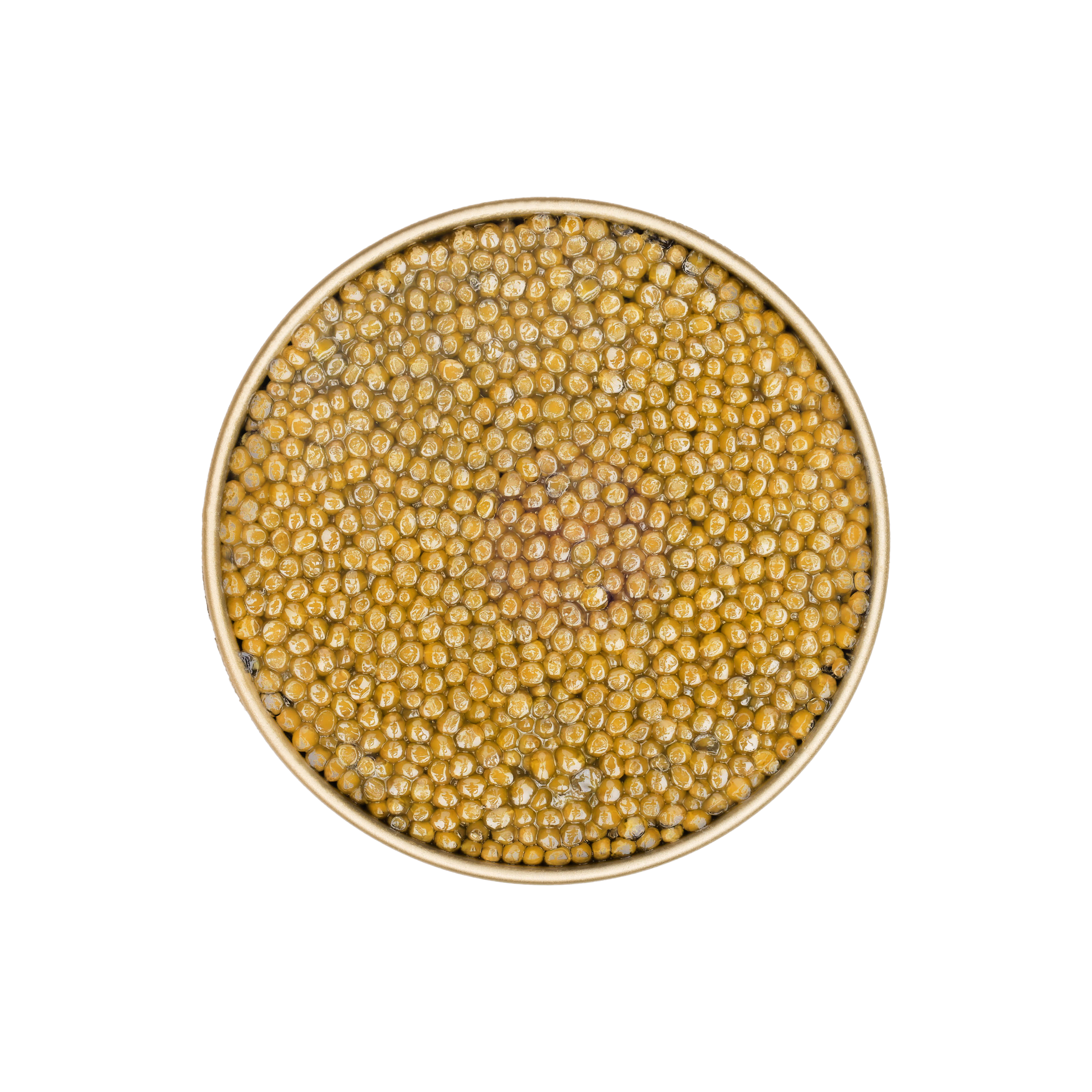 boîte de caviar ossetra ouverte 250g Golestan Caviar